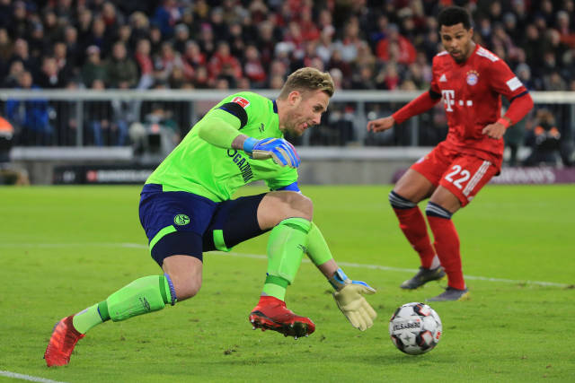 林间的活动 林间的活动